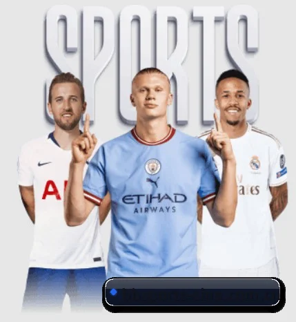 BB体育 APP(BBSports)